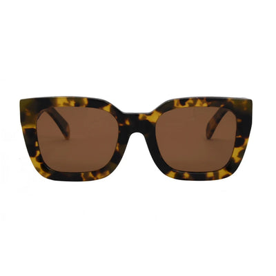 Alden "Tort/Brown" Sunglasses