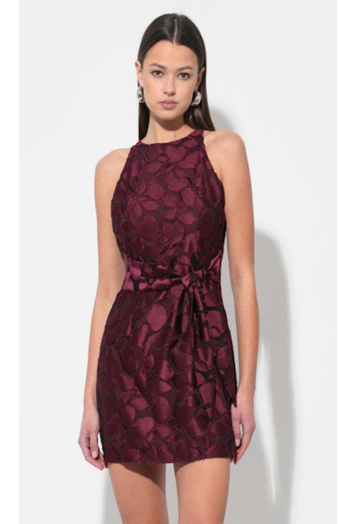 Falini Velvet Burnout Mini Dress - Wine