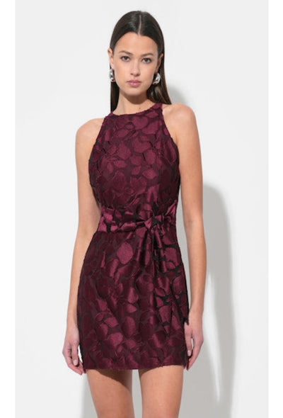 Falini Velvet Burnout Mini Dress - Wine
