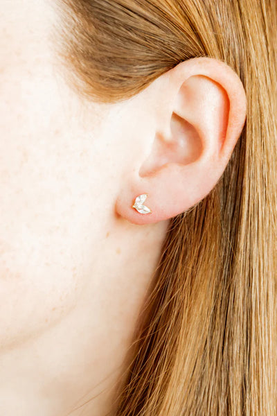 Nova - Screwback Stud Earrings