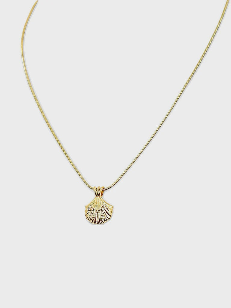 Shore Thing Shell Necklace