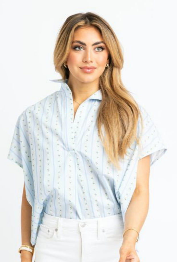 Floral Stripe V-Neck Collar Top - Blue