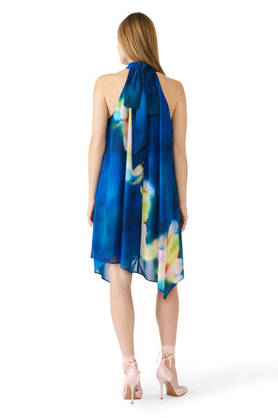 Sander Dress - Rosewater