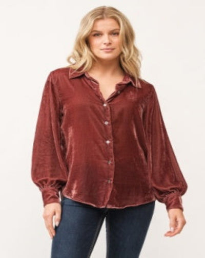 Suede Long Sleeve Button Down Top - Marron